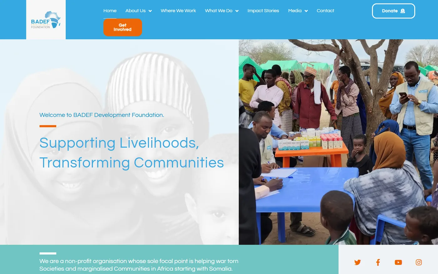 BADEF homepage before the redesign: blue header with a crowded menu and a pale headline over a photo